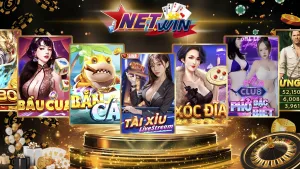 Game Bài Netwin
